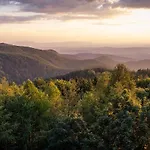 Panzió Fehér Sas Panzió