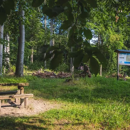 Fehér Sas Panzió Frühstückspension Bánkút