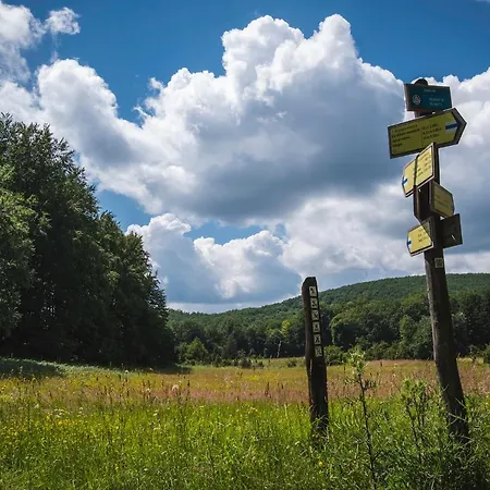 Feher Sas Panzio ベッド・アンド・ブレックファスト