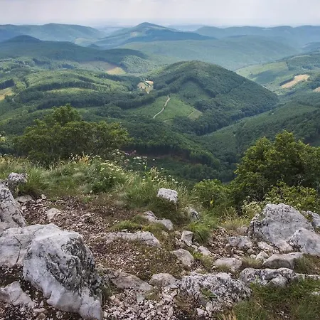 ベッド・アンド・ブレックファスト Feher Sas Panzio Bánkút