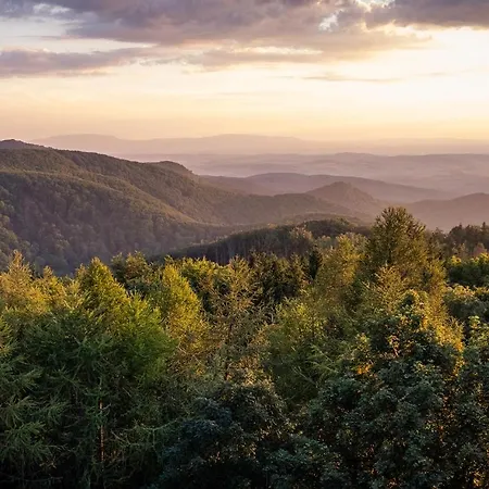 Panzió Fehér Sas Panzió