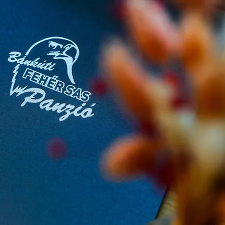 ベッド・アンド・ブレックファスト Feher Sas Panzio 3*
