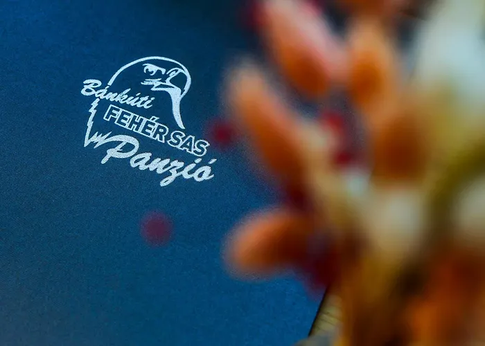فندق مبيت وإفطار Feher Sas Panzio 3*